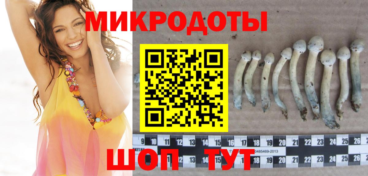 Псилоцибиновые грибы Psilocybine cubensis Кропоткин
